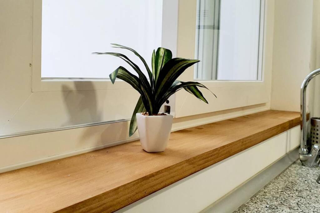 Apartamento Interior En Absoluto Centro En Algeciras 1º A Εξωτερικό φωτογραφία